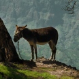Excursions et sensations	